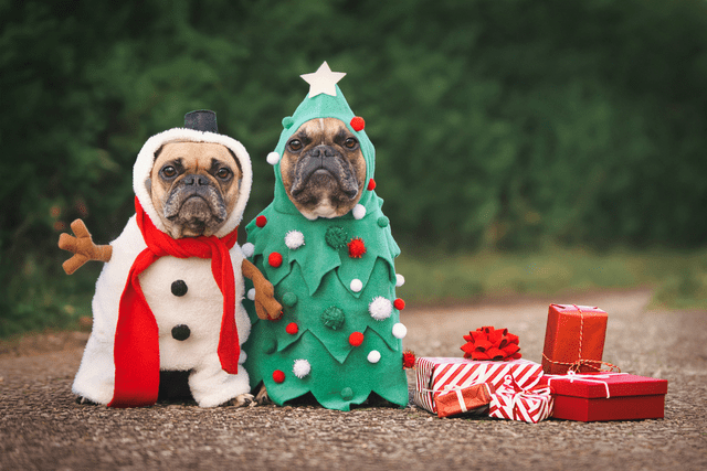 Personalgewinnung: Was Unternehmen von Weihnachtsspots lernen können!